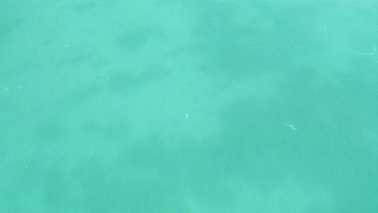 追踪镜头从清澈的蓝色海水拍摄到一群茅草屋或村庄，可能是一个上层阶级的度假胜地。背景中有一座大山。在加勒比海或其他热带岛屿度蜜月或度假。视频下载