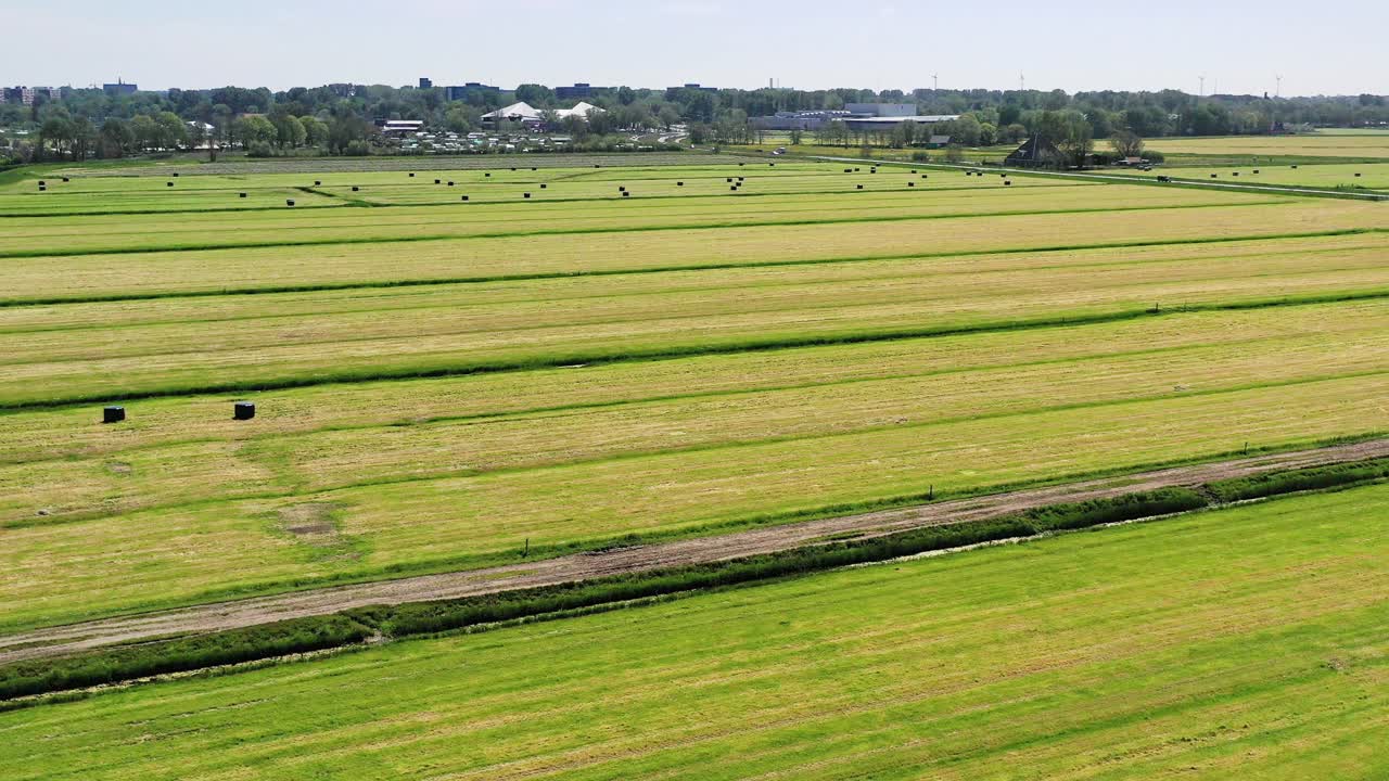 传统的荷兰景观与农场视频下载