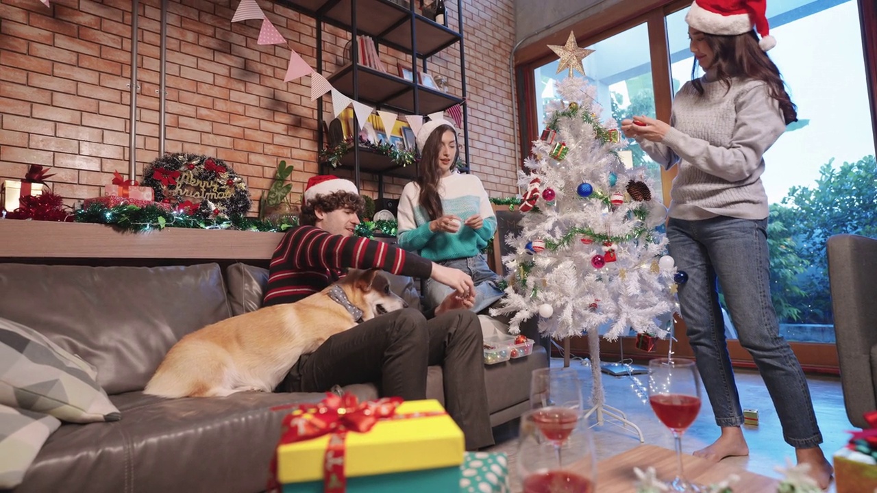 一群朋友和狗狗快乐地装饰白色的圣诞树，一起在家里的客厅里玩得很开心视频素材