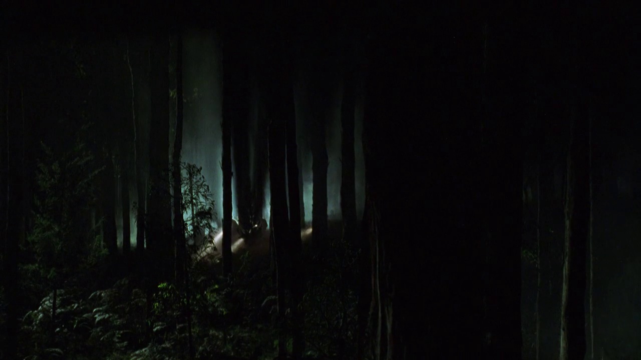 一群人拿着手电筒在森林里搜寻的广角镜头。搜索,搜索。视频素材
