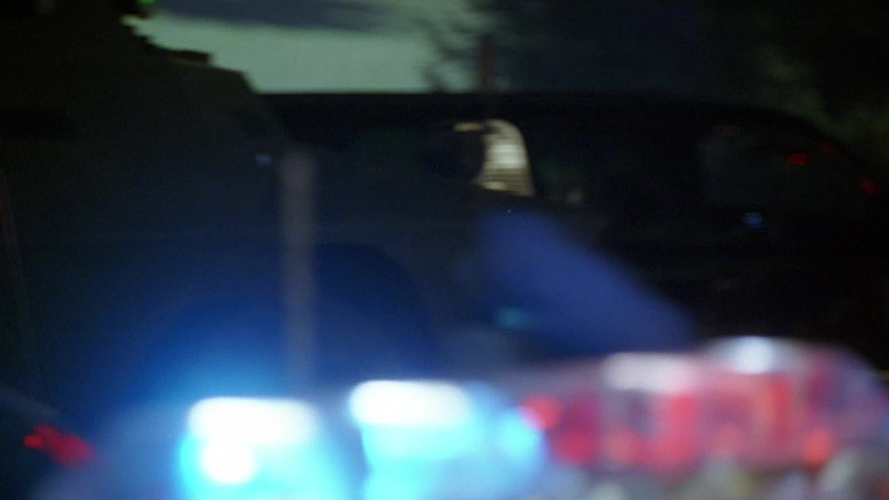 潘从左到右在郊区的犯罪现场。警车亮着灯。闪烁的灯光。塞壬。特警队。警察在树后用枪指着。警察。视频素材