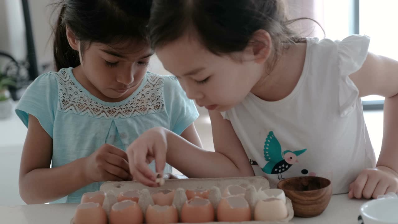 混合儿童在重复使用蛋壳中种植幼苗，蒙特梭利家庭教育，可持续的生活理念视频下载