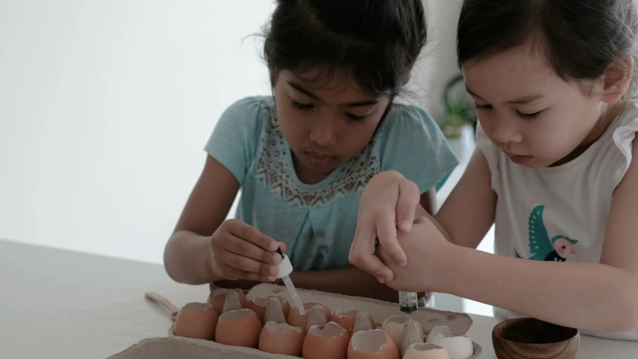 混合儿童在重复使用蛋壳中种植幼苗，蒙特梭利家庭教育，可持续的生活理念视频下载
