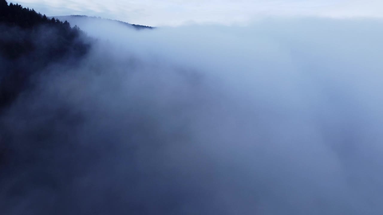 云雾中郁郁葱葱的空中森林，显露出山峰视频素材