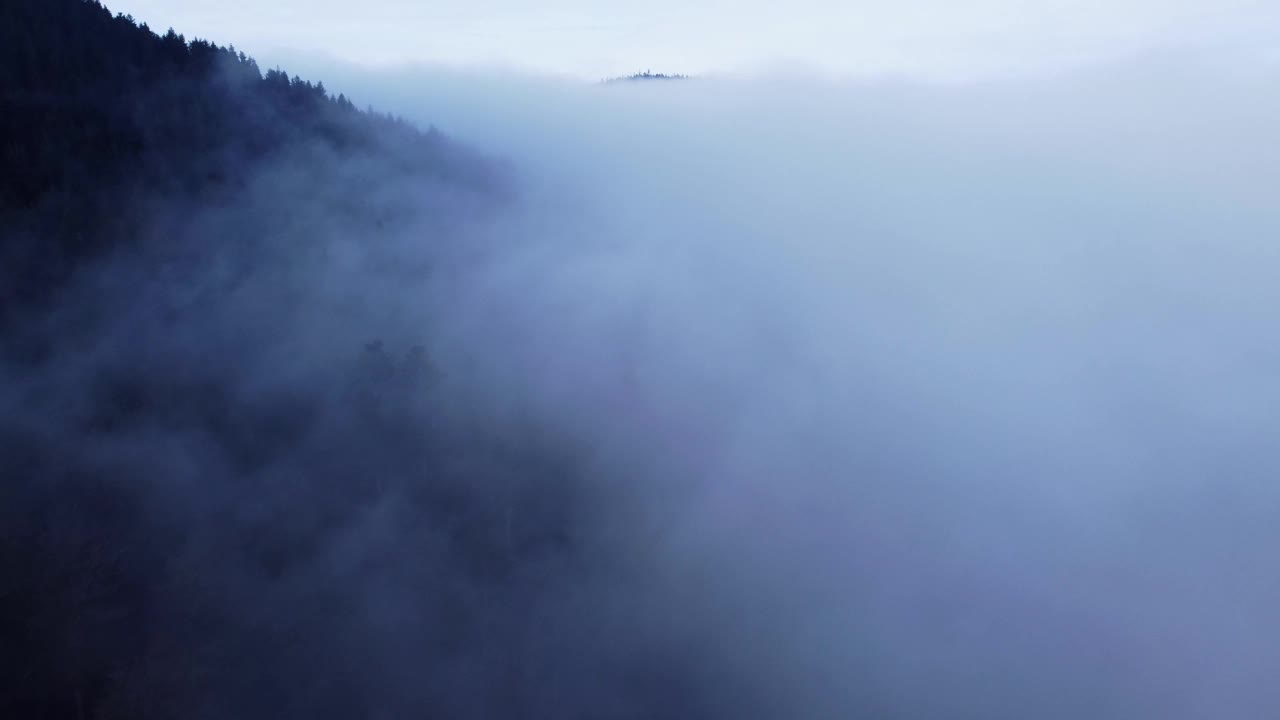 云雾缭绕，云雾缭绕，云雾缭绕视频下载