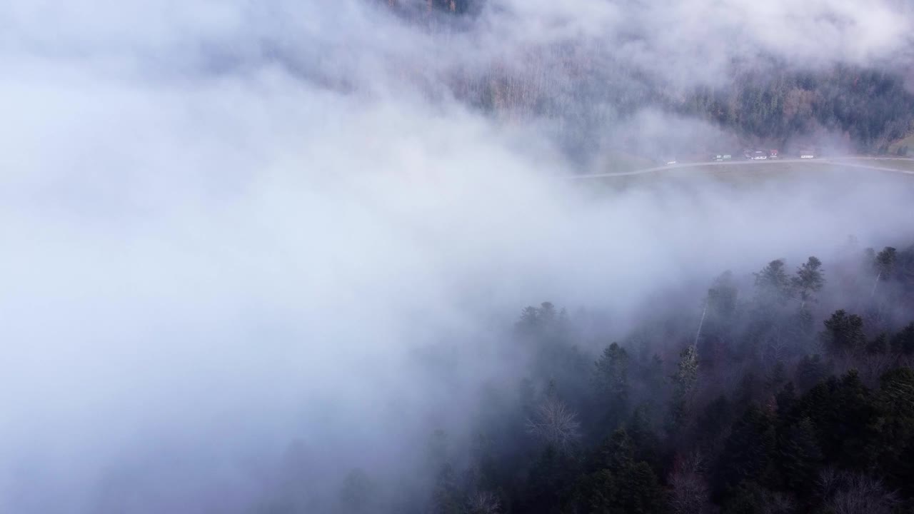云雾缭绕，云雾缭绕，云雾缭绕视频下载