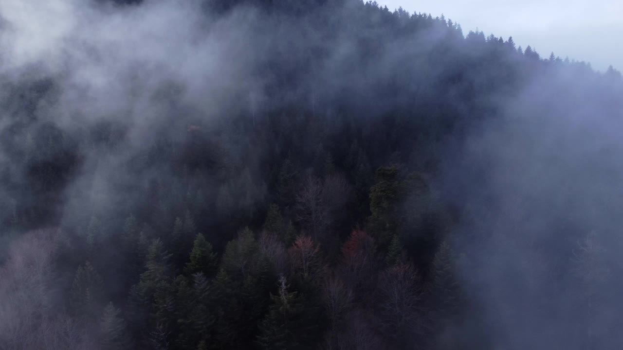 云雾缭绕，云雾缭绕，云雾缭绕视频素材