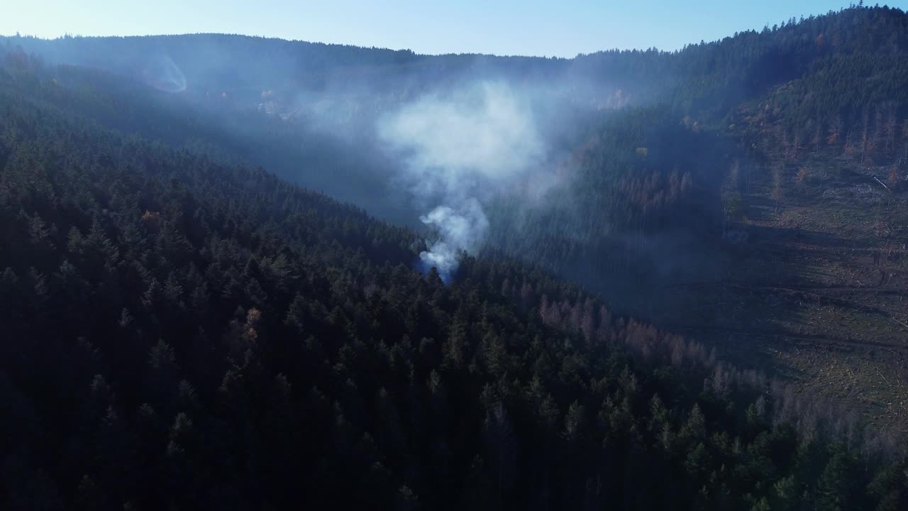 一个森林地区的鸟瞰图，伐木工人燃烧木材，在山上用烟生火视频下载