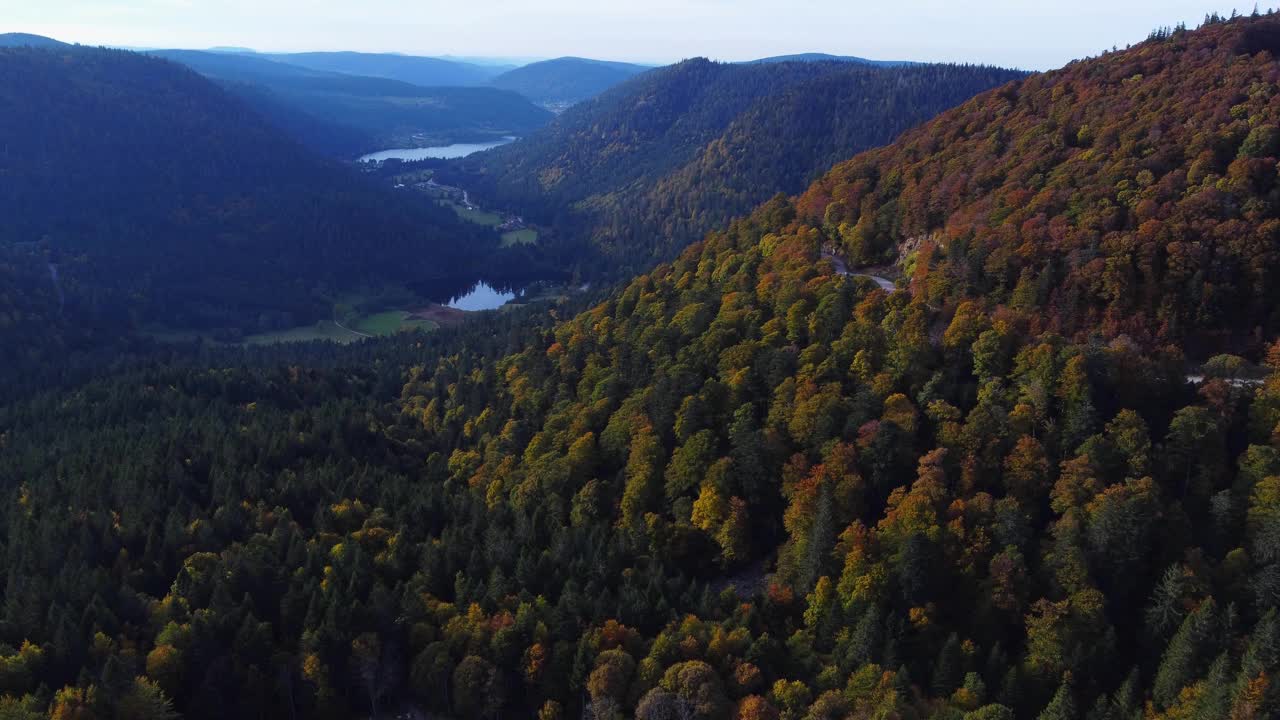 鸟瞰图的橙色叶子森林冠在秋天在法国山脉孚日视频下载