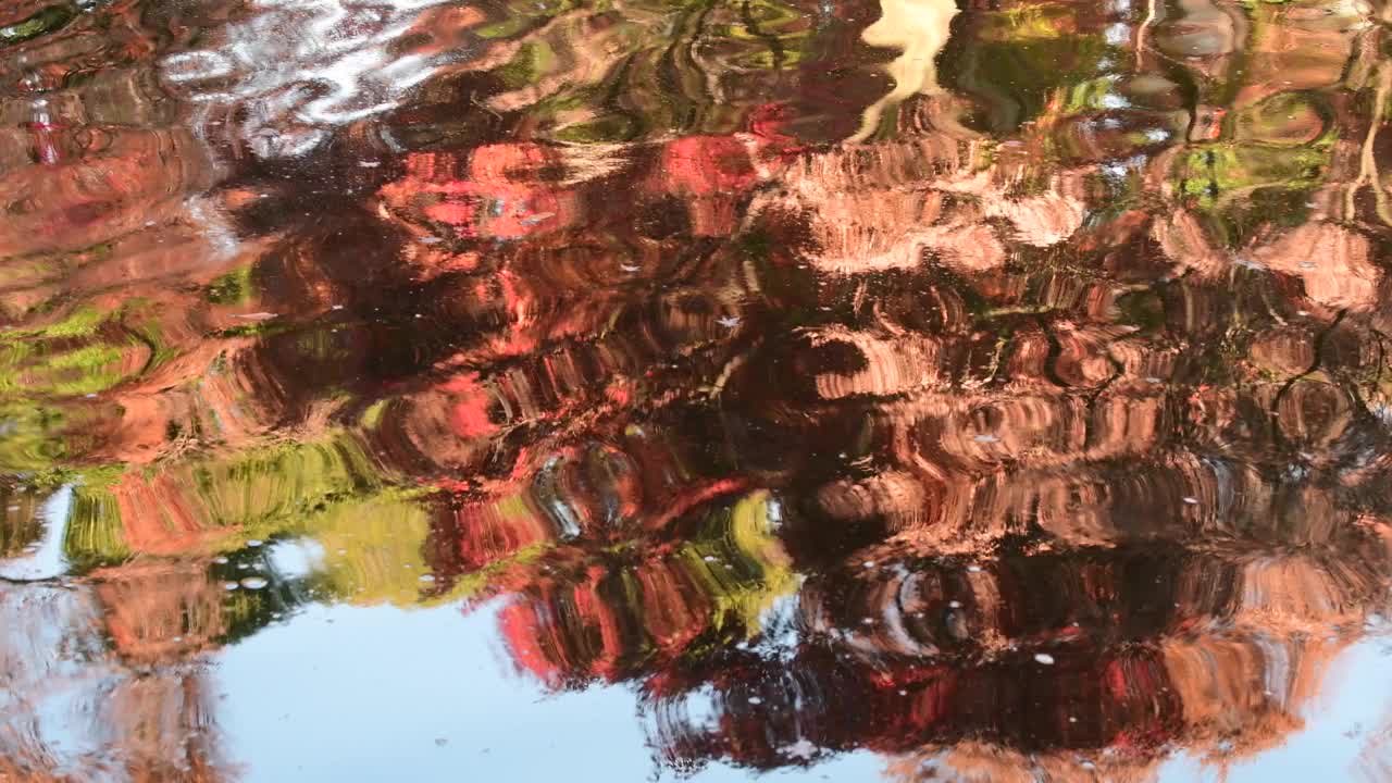 池塘上秋叶色的倒影视频下载