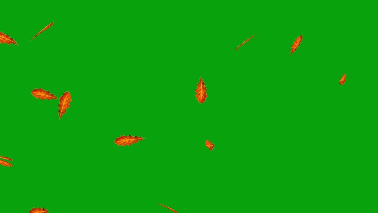 飘落的橡树叶运动图形与绿色屏幕背景视频素材