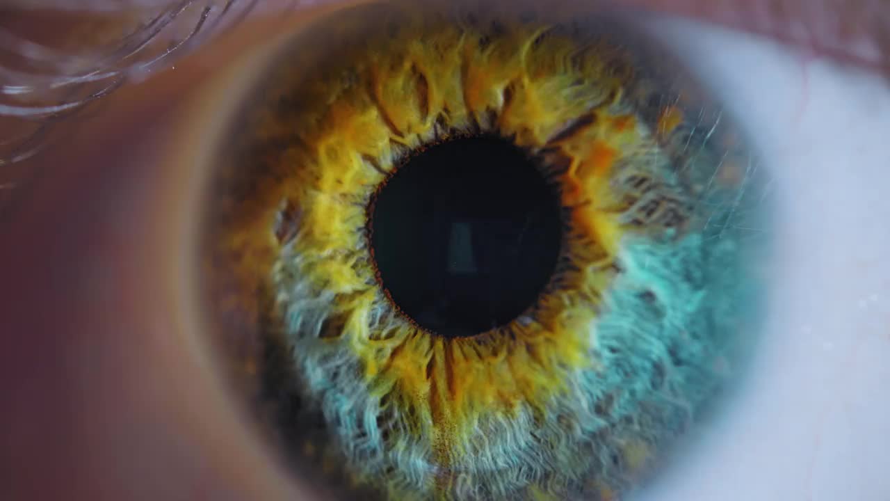 人类的眼睛。视频素材