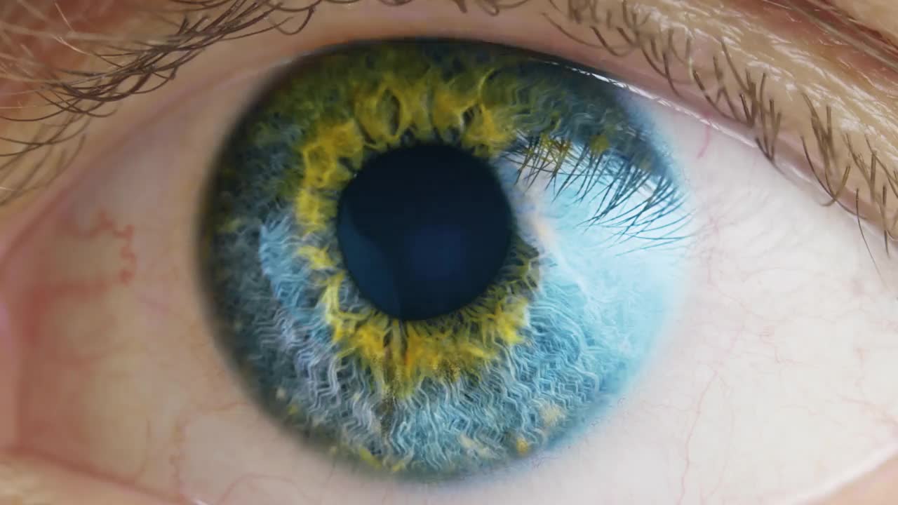 人类的眼睛。视频素材