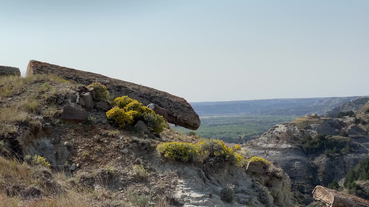 大角羊羊在岩石山脊上视频下载