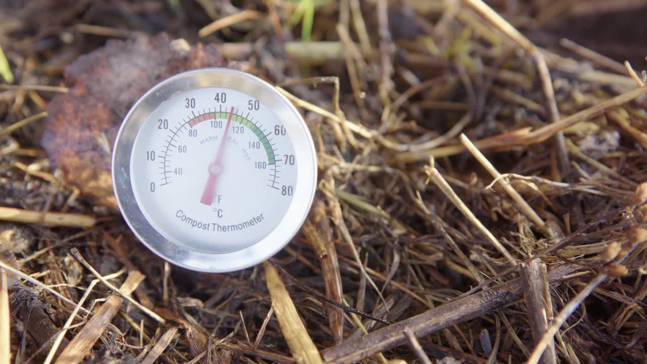 大特写堆肥温度计显示理想的堆肥温度视频下载