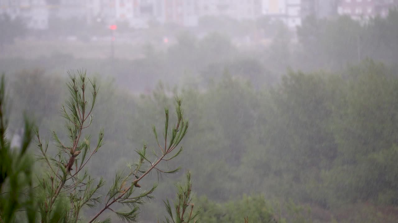 土耳其安塔利亚秋天的大雨。从Konyaalti区松树林的窗口望去视频下载
