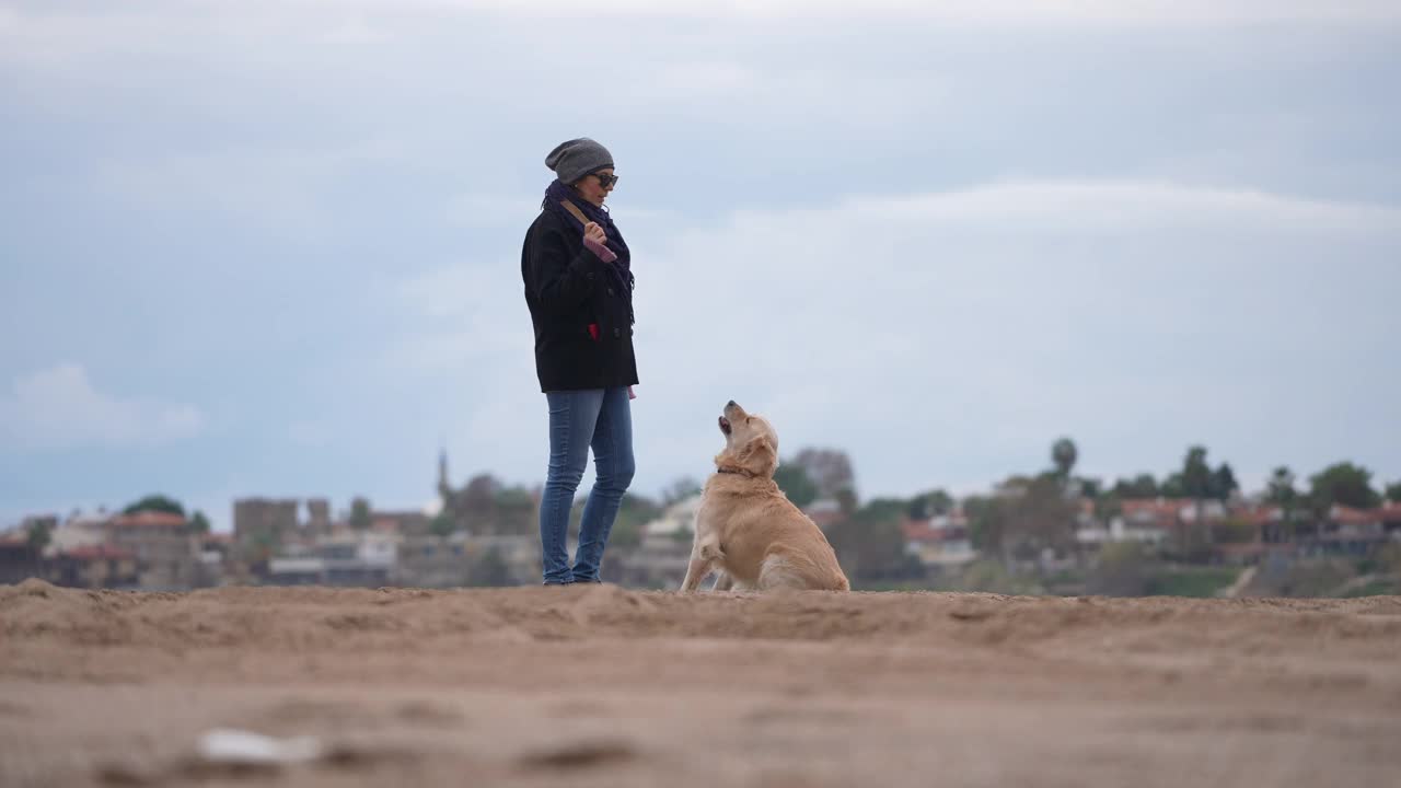 一个女人在冬天的海滩上训练一条狗。视频素材