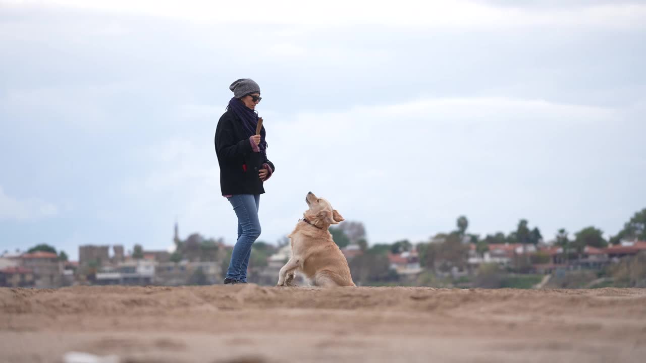 一个女人在冬天的海滩上训练一条狗。视频素材