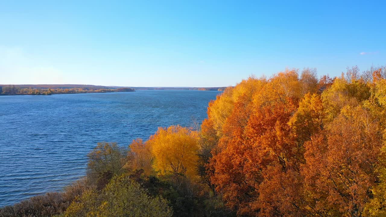 在蓝色的湖边有令人惊叹的金色树木。晴朗的天空下美丽的秋景。乡村里宽阔的蓝色河流。视频素材
