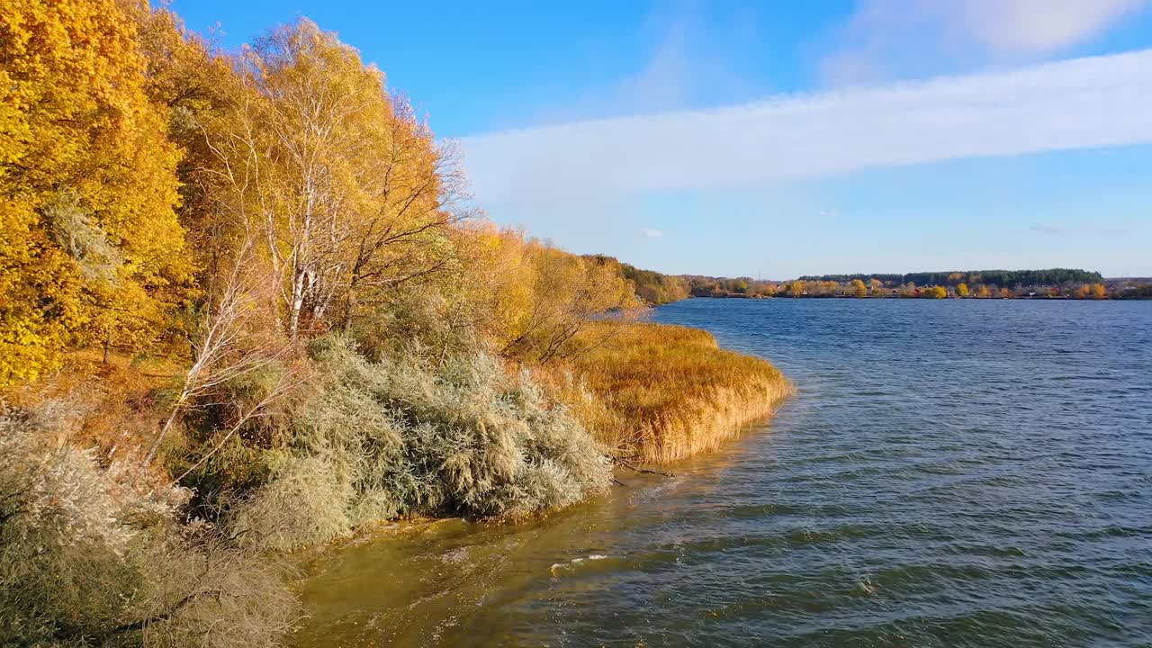 秋天，湖边的金色树木色彩鲜艳。令人惊叹的乡村自然景观。秋天的大自然很美。视频素材