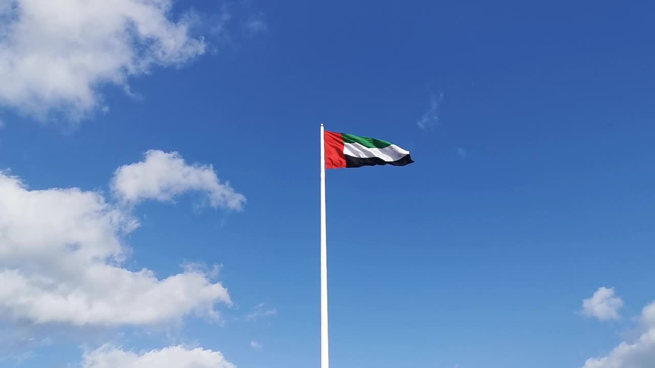 阿联酋国旗迎风飘扬视频素材