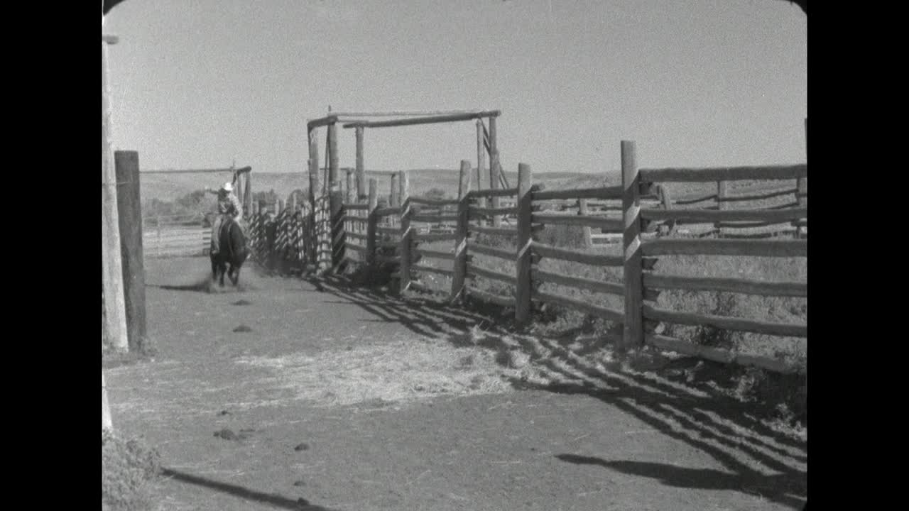 WS牛仔骑着马在怀俄明州的一个牧场，美国;1962视频素材