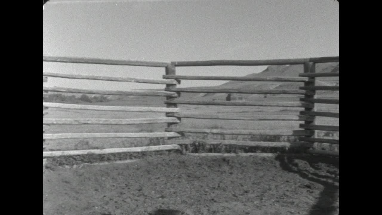 在美国怀俄明州，牛仔试图在跃起的马中打破;1962视频下载