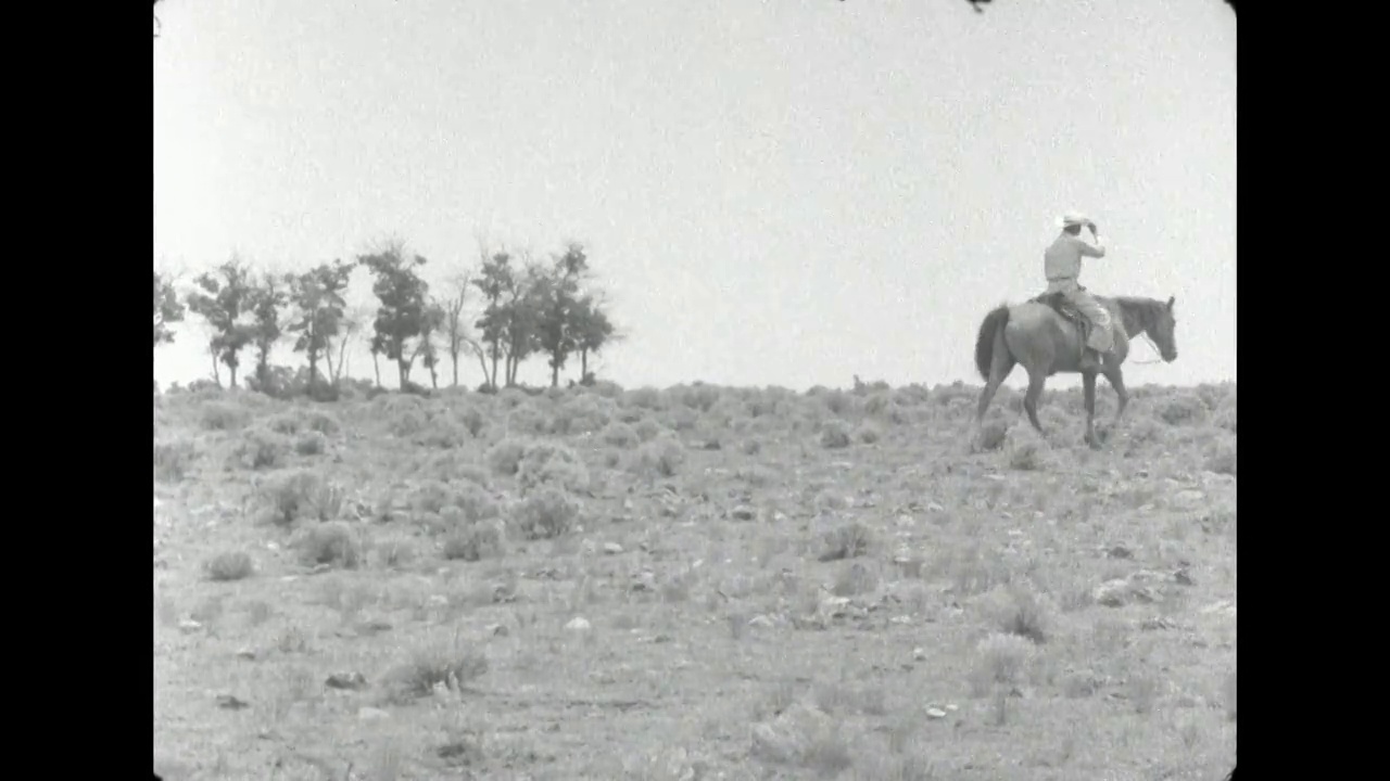 在美国怀俄明平原上，牛仔将一群马赶上小山;1962视频下载