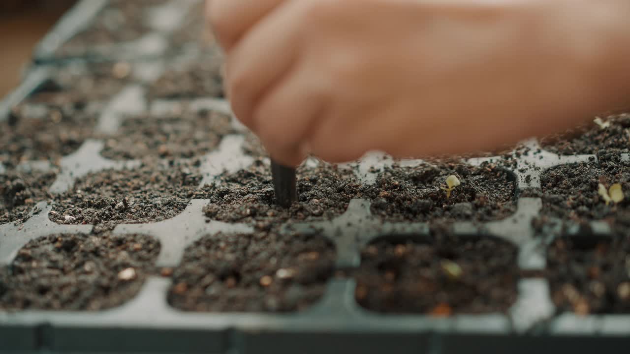 慢动作近手混合有机土壤种植蔬菜视频下载