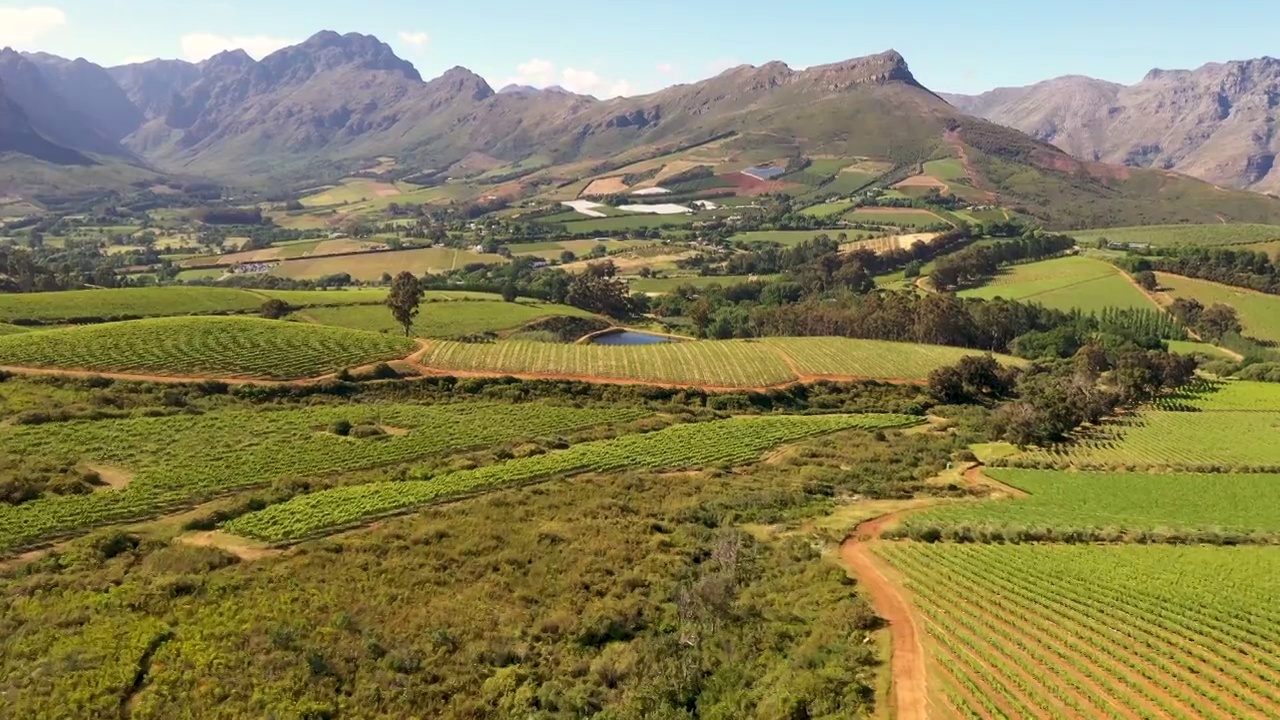 无人机拍摄了开普敦附近Stellenbosch周围的葡萄园视频素材