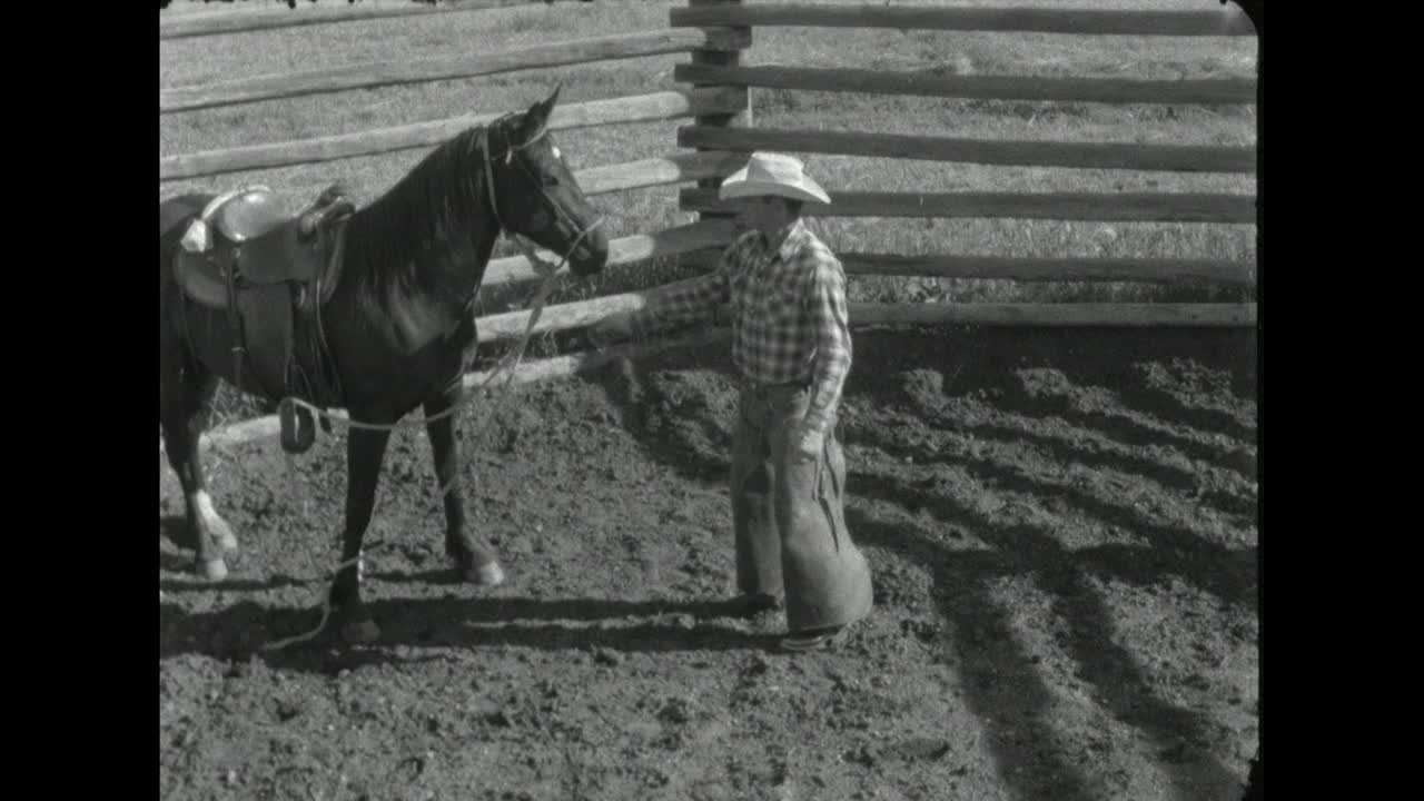 在美国怀俄明州，牛仔在未驯服的马周围平静地表演;1962视频下载