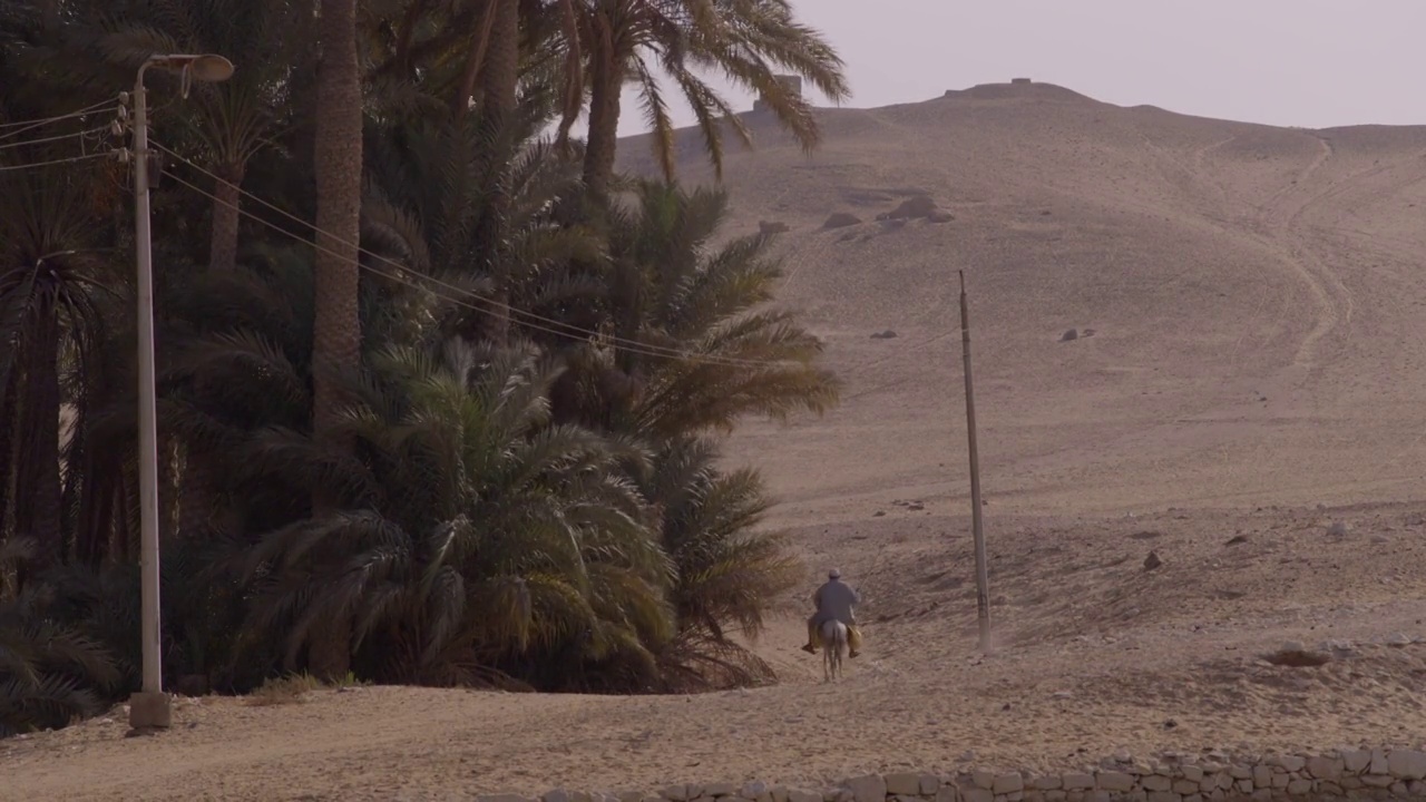 一名埃及男子骑着驴在萨卡拉的土路上的广角镜头视频下载