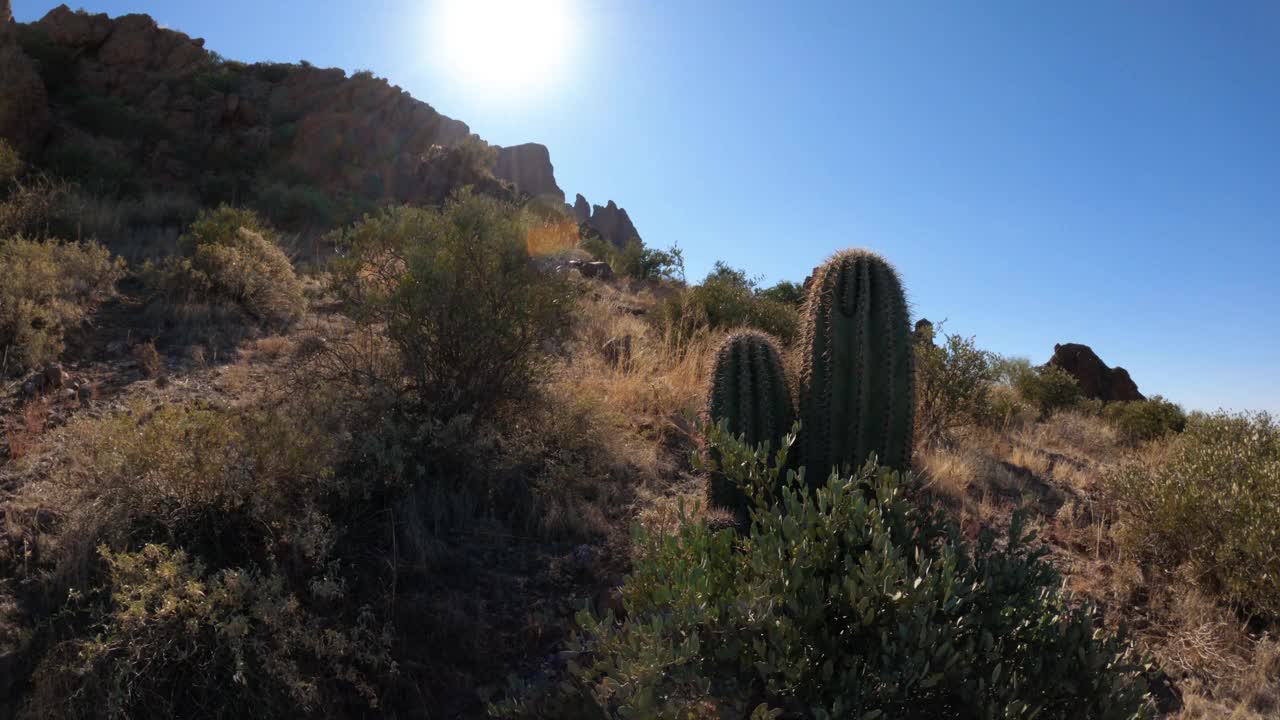美国西南部徒步旅行步道与仙人掌和沙漠山脉的形成视频素材
