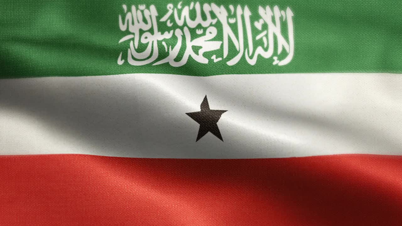 索马里兰动画库存视频国旗索马里兰旗帜在循环和纹理3d渲染背景-高度详细的织物图案和可循环的索马里兰共和国国旗视频下载