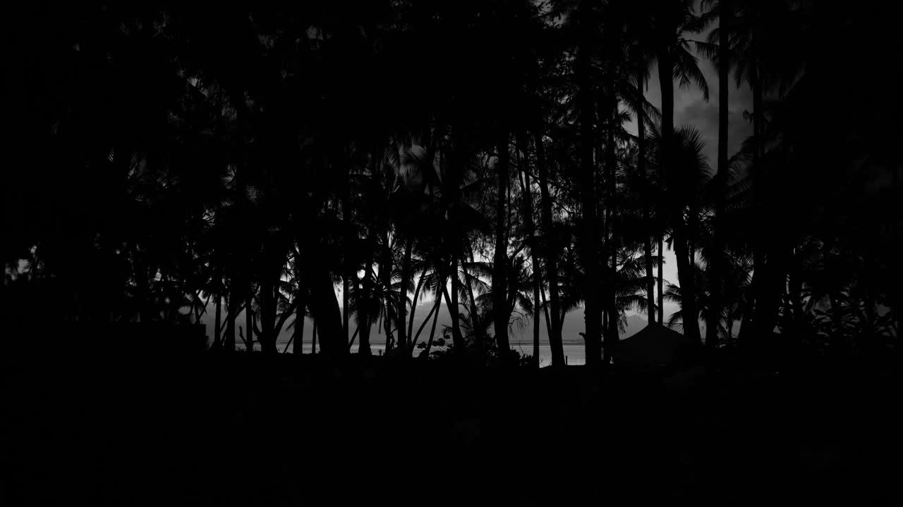 棕榈海肯尼亚迪亚尼印度洋晚上今天吊床花布干维勒日出视频下载