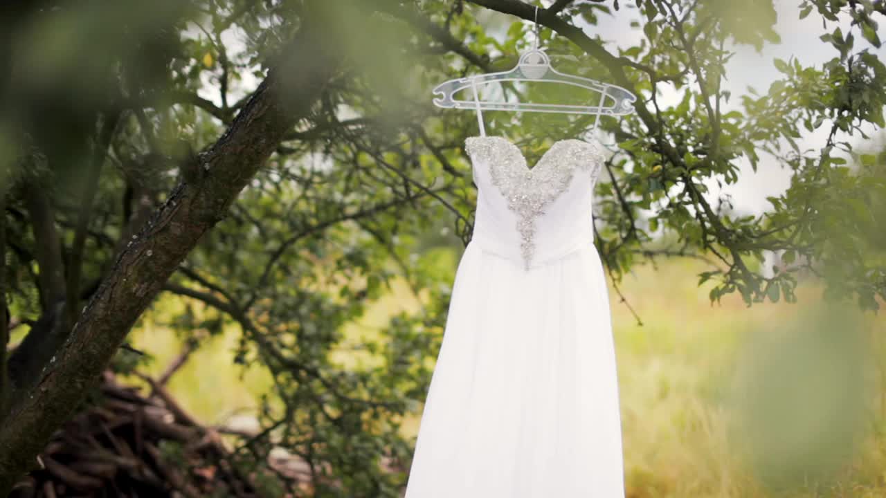 镶着莱茵石的奢华白色婚纱在夏天挂在树上视频素材