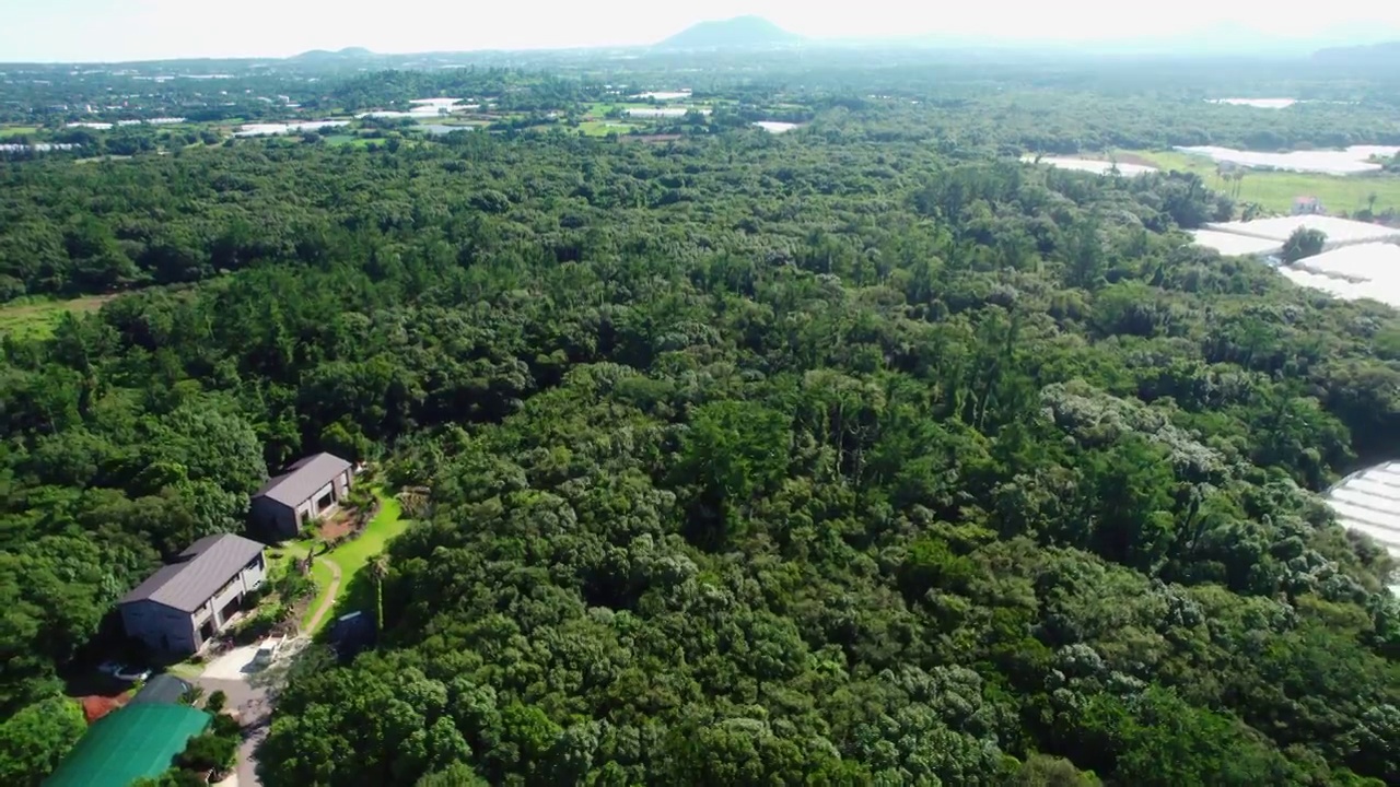 韩国济州济州市汉营郡的焕山森林和Gotjawal公园的自然风光视频下载