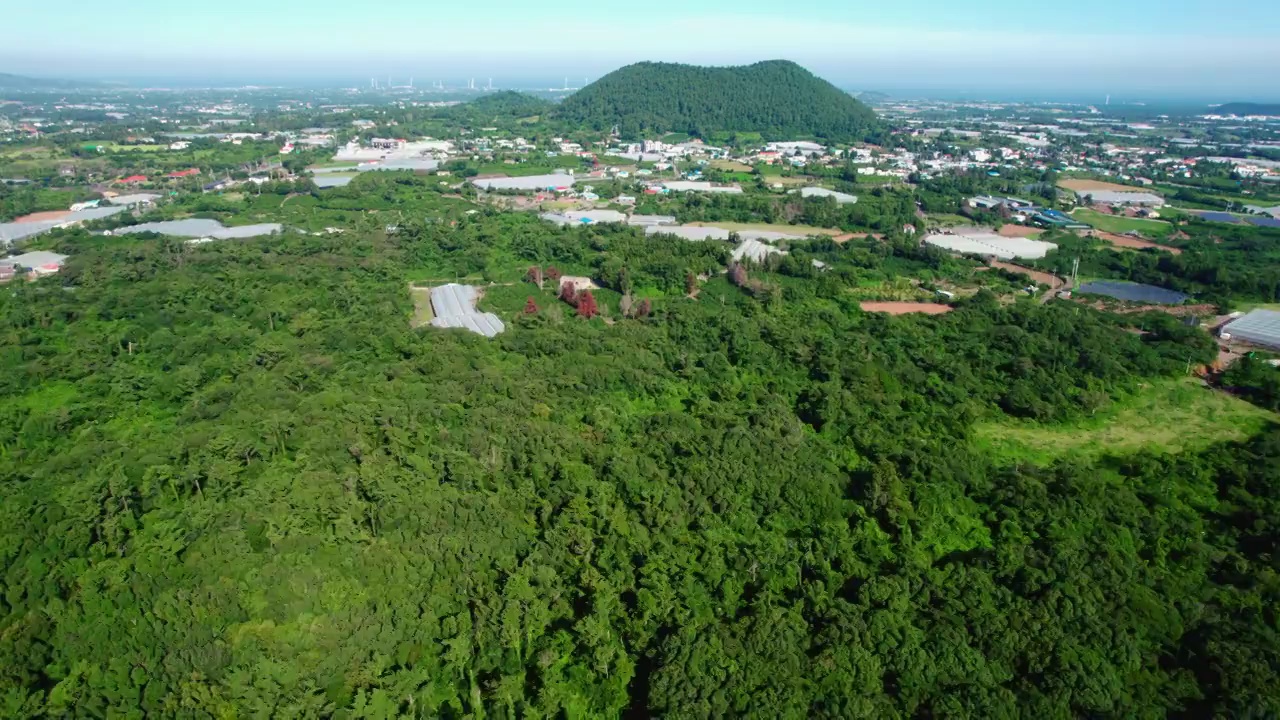 韩国济州济州市汉营郡的焕山森林和Gotjawal公园的自然风光视频下载
