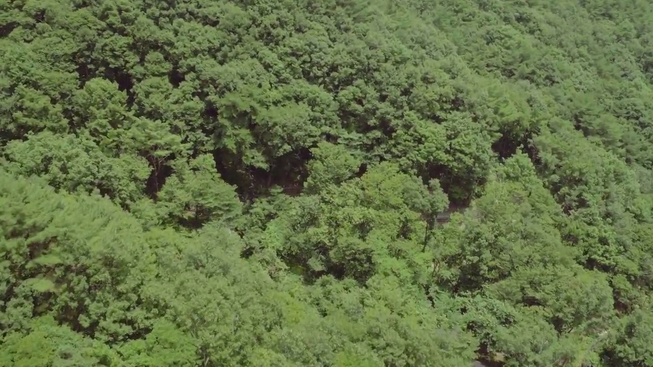 七仙谷——韩国庆尚南道咸阳郡智异山的森林视频下载