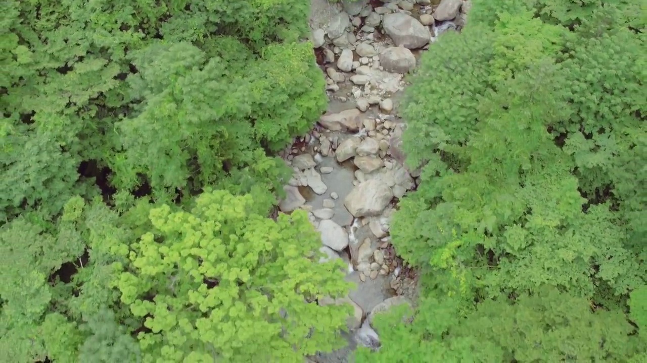 七仙谷——韩国庆尚南道咸阳郡智异山的山谷水流和森林视频下载