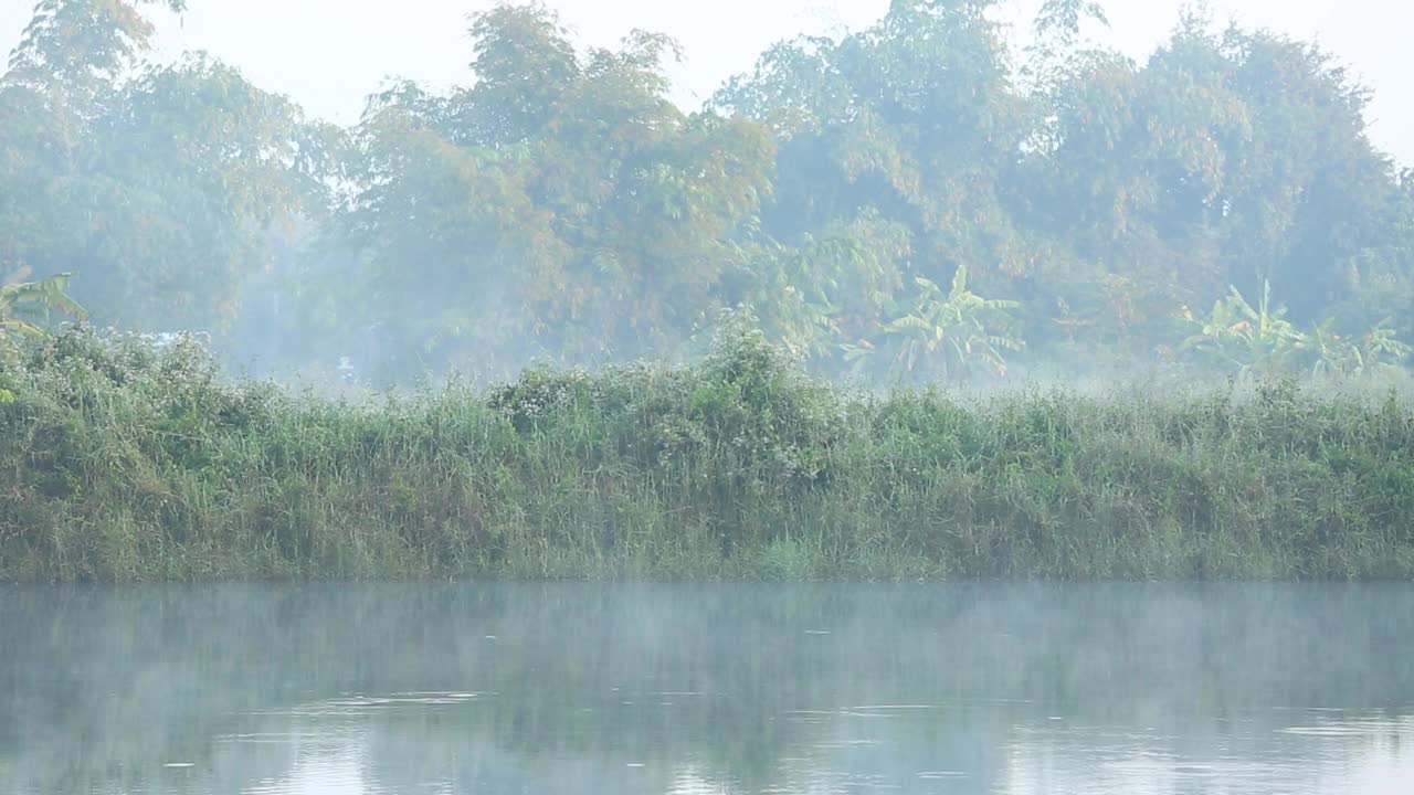 清晨雾蒙蒙的池塘景色视频素材
