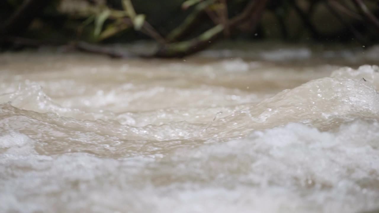 丛林深处溪流的慢镜头，自然背景视频素材