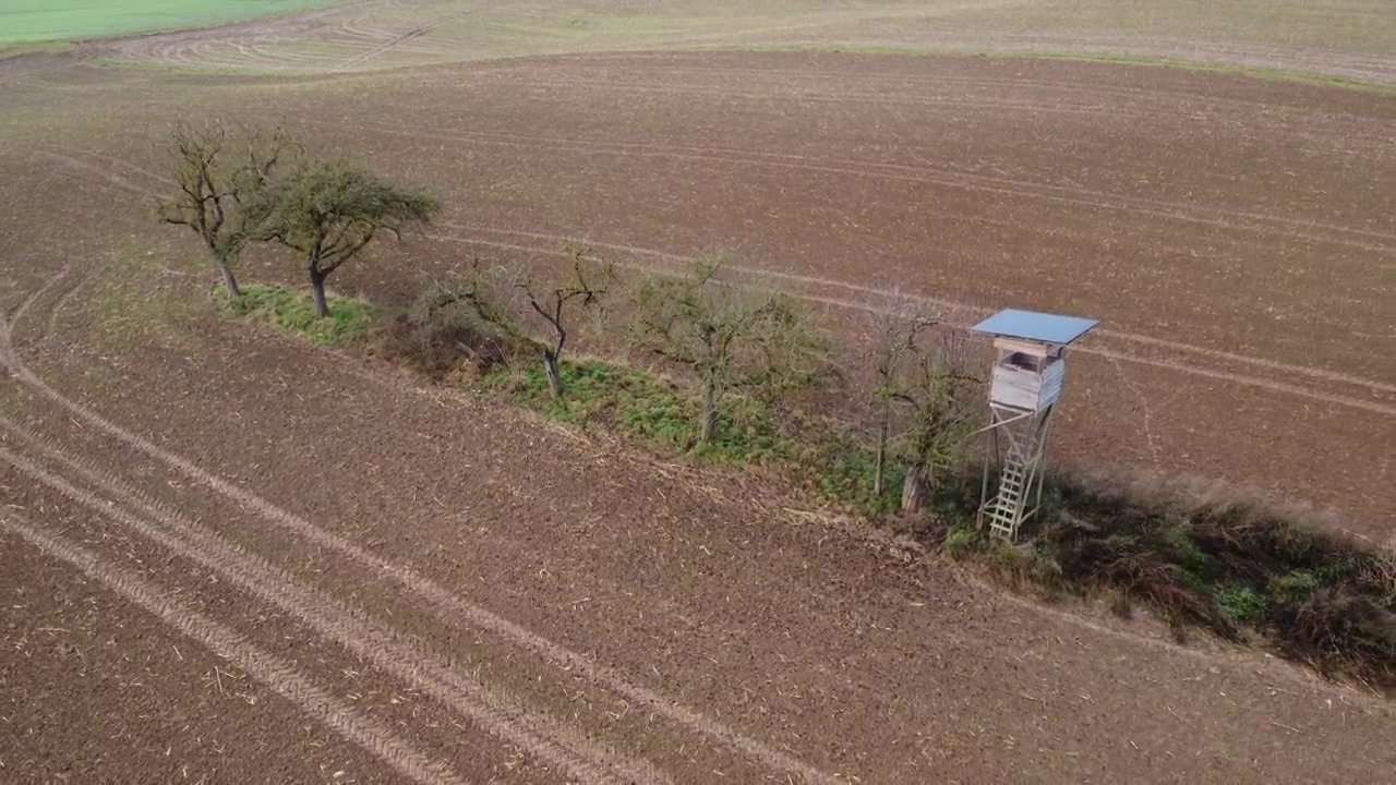 无人机在农田里高高地飞过苹果树排，鸟瞰视频素材