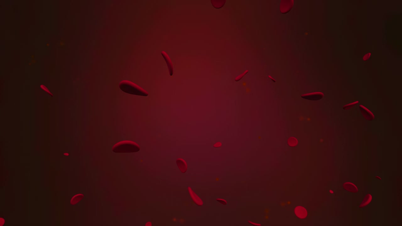 血红细胞在血流中移动。视频下载