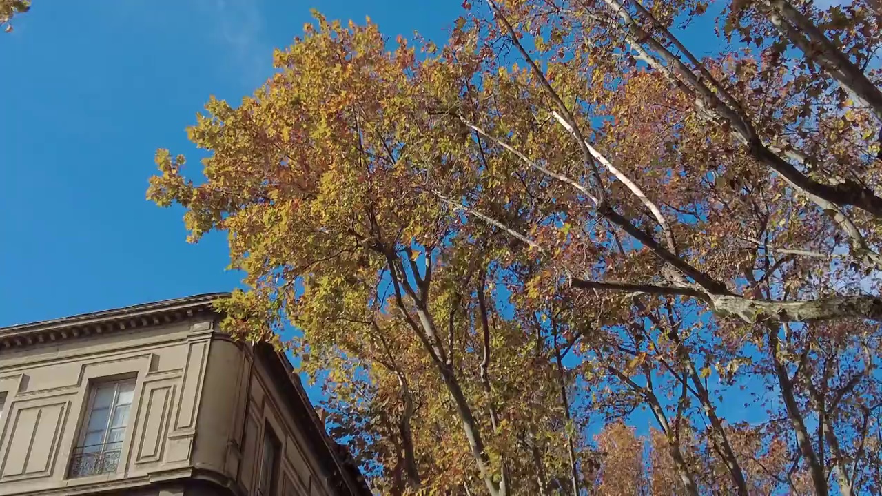 阿维尼翁在秋天视频素材