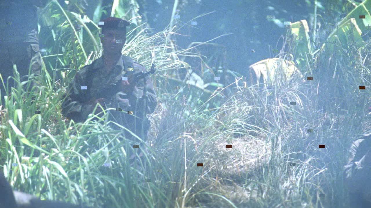 广角非洲军队士兵攻击和隐藏在丛林或森林。士兵们躲在高高的草丛和树后交火。烟充满空气。人跑步。视频下载