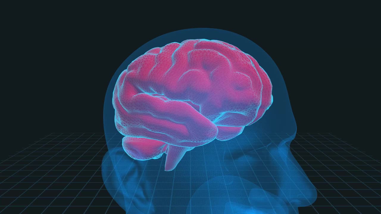 人脑3D插图- 4K循环医学背景视频下载