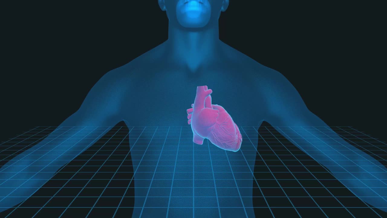 人类心脏3D插图- 4K循环医学背景视频下载