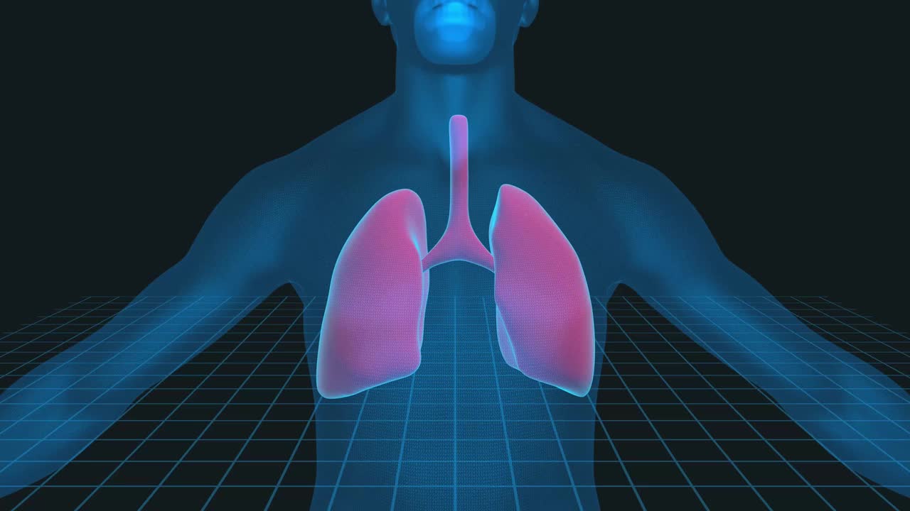 人体肺3D插图- 4K循环医学背景视频下载
