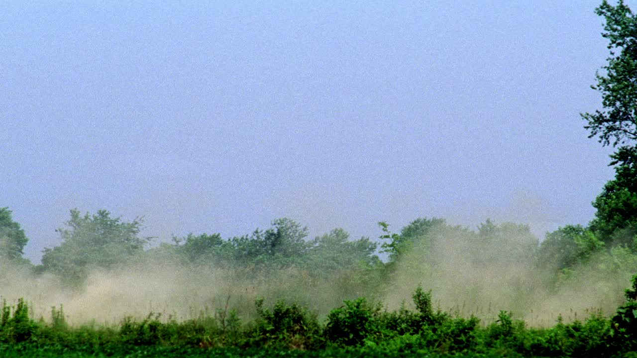 大角度的灰尘吹在一个领域。丛林中可见的树、灌木或树林可能在农村。视频下载